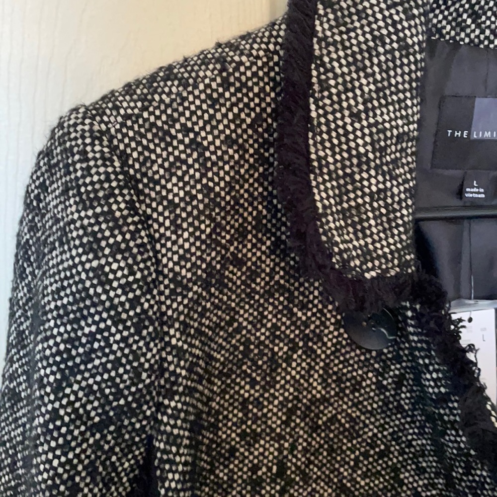 The Limited Coat